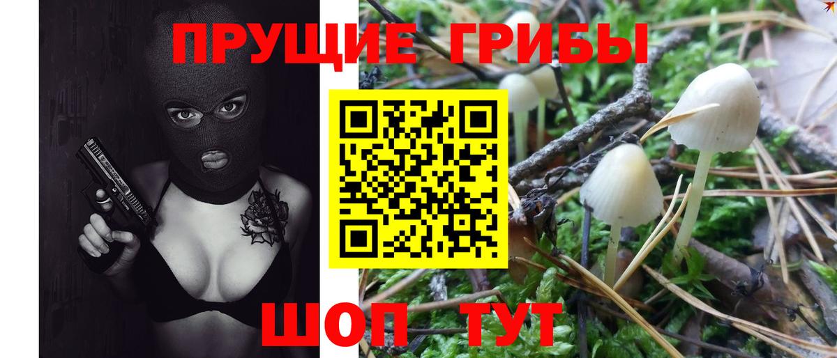 Галлюциногенные грибы ЛСД Тавда