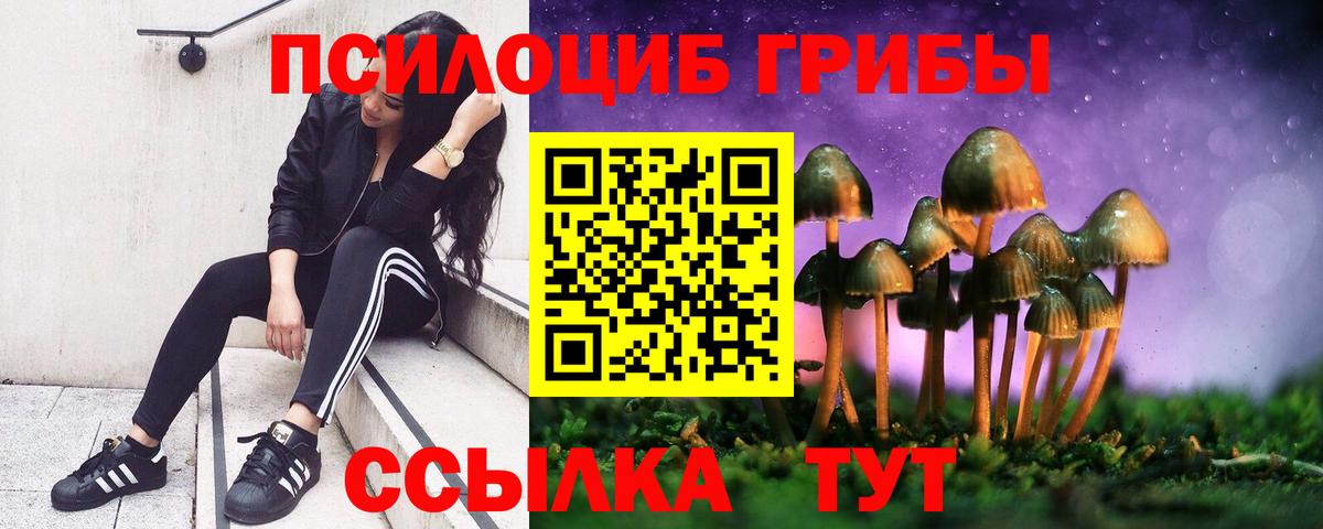 Галлюциногенные грибы Psilocybe  Вход с VPN  Галлюциногенные грибы Magic Shrooms  Тавда 
